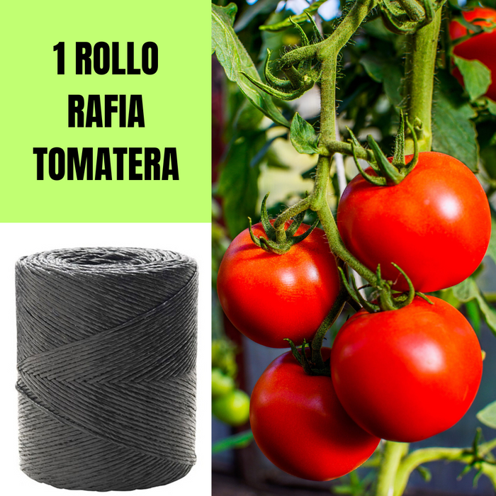 1 RAFIA AGRÍCOLA CAL2100 4.5KG 6400M