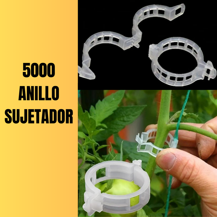 5000 ANILLO SUJETADOR