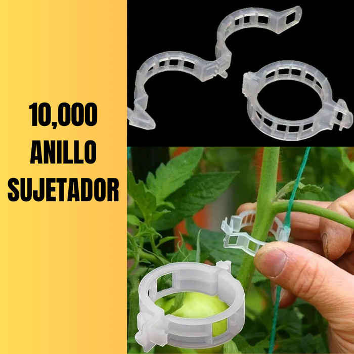 10,000 ANILLO SUJETADOR